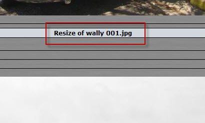 rezise or wally.jpg