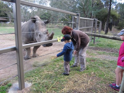 Rhino Feeding.jpg