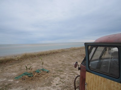 Kombi Gulf Carpentaria.jpg