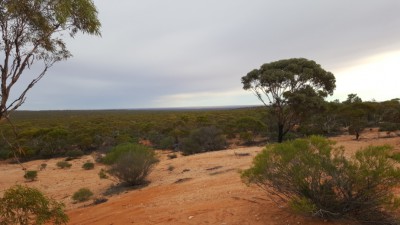 1-Maralinga Village outlook.jpg