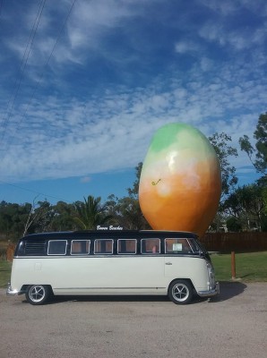 kombi mango.jpg