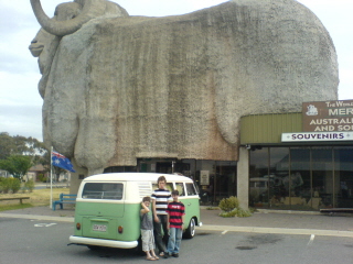 the big merino