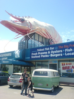 the big shrimp