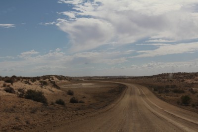 D-Birdsville Track 1.jpg